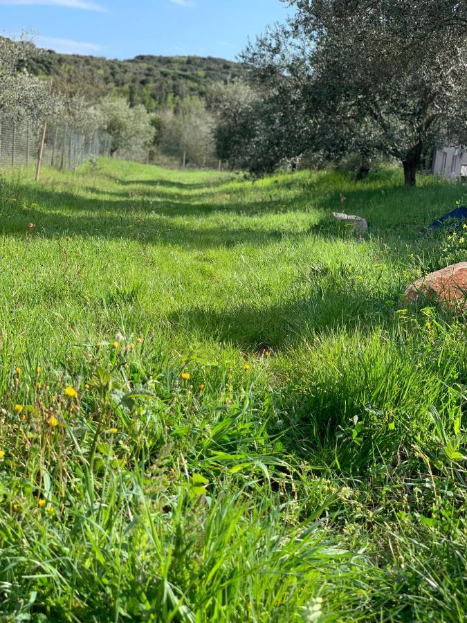 מלון רוביני Il Giardino Degli Ulivi מראה חיצוני תמונה